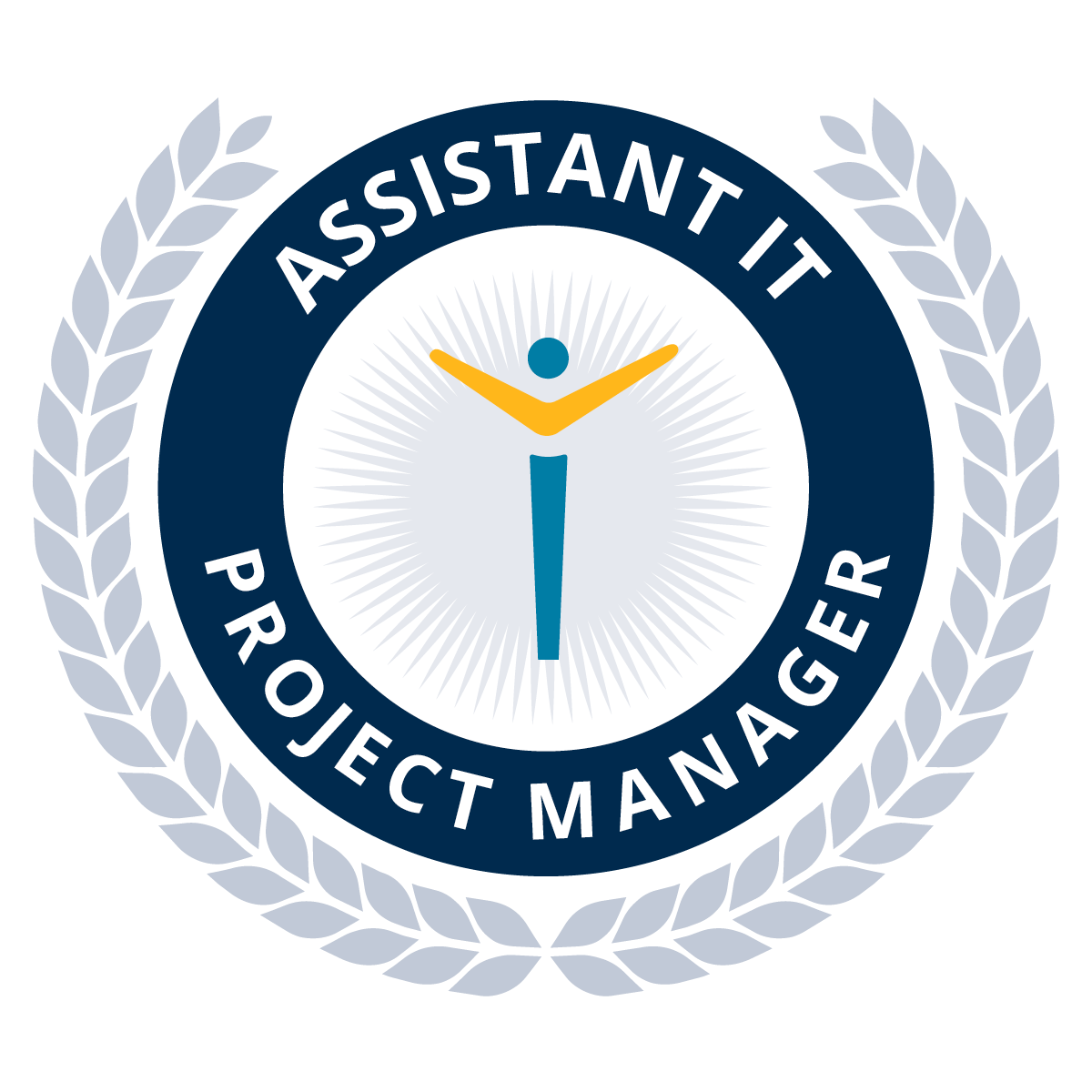 Assistant IT Project Manager certificate